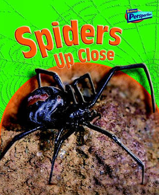 Spiders Up Close by Greg Pyers image