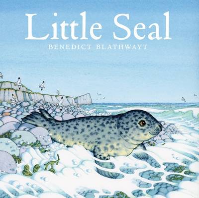 Little Seal by Benedict Blathwayt image