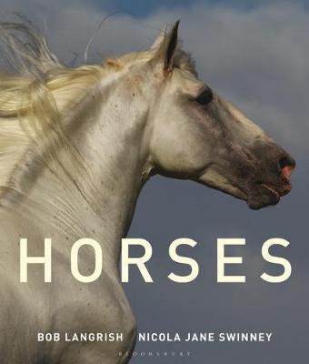 Horses by Nicola Jane Swinney image