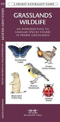 Grasslands Wildlife: An Introduction to Familiar Species Found in Prairie Grasslands on Paperback by Senior Consultant James Kavanagh (Senior Consultant, Oxera Oxera Oxera)