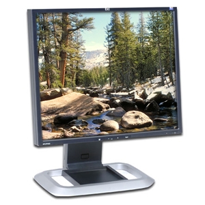 HP L1965 19" TFT LCD Display Silver Monitor DVI image