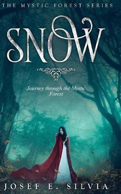 Snow by Josef Silvia image