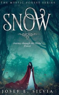 Snow on Hardback by Josef Silvia