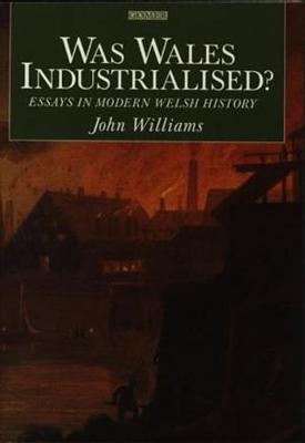 Was Wales Industrialised? by John Williams image