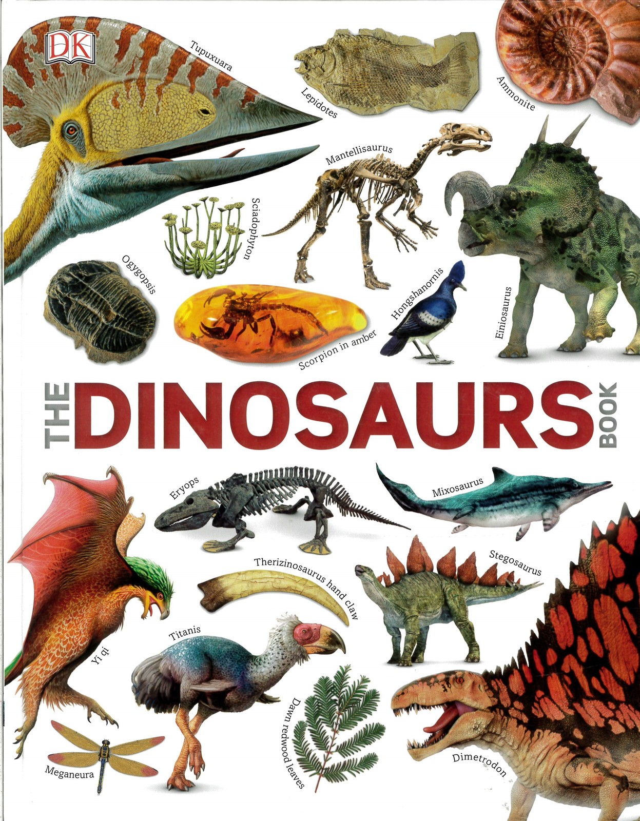 DK The Dinosaur Book on Hardback