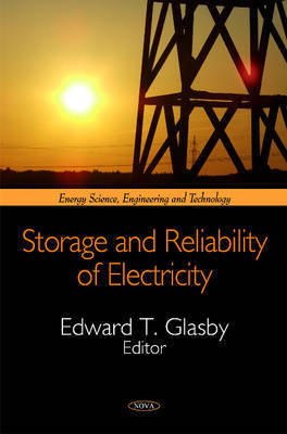 Storage & Reliability of Electricity image