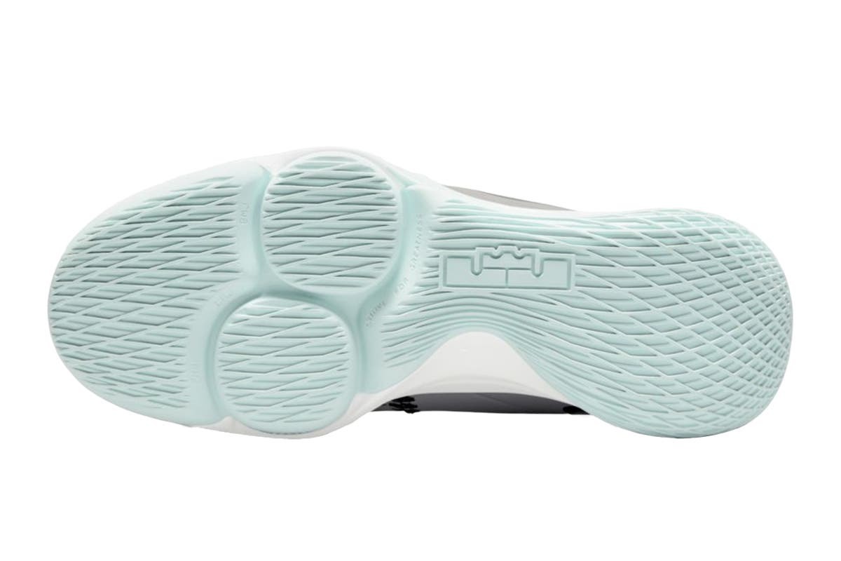 Nike Men's Lebron Witness V Basketball Shoes (Pure Platinum/BlackChile