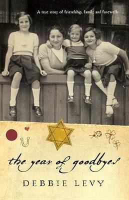 The Year of Goodbyes by Debbie Levy image