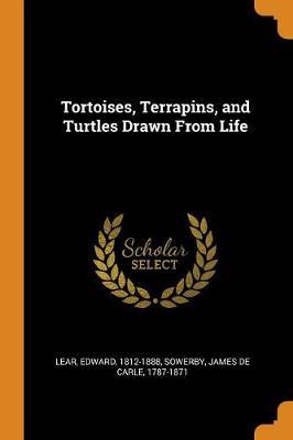 Tortoises, Terrapins, and Turtles Drawn from Life image