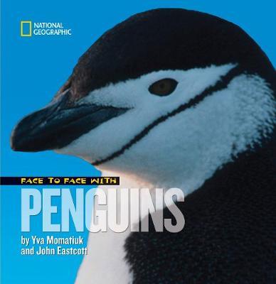 Face to Face with Penguins on Hardback by Yva Momatiuk