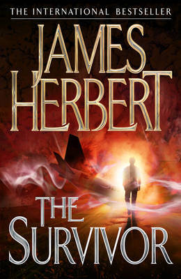 The Survivor by James Herbert image