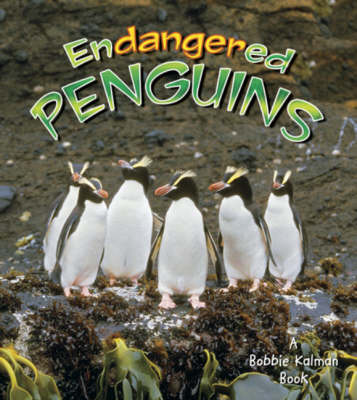 Endangered Penguins by Bobbie Kalman image