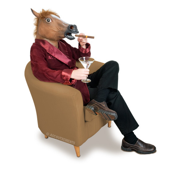 Horse Head Mask image