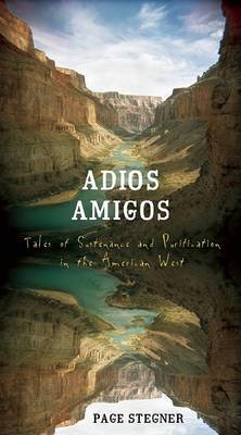 Adios Amigos on Hardback by Page Stegner