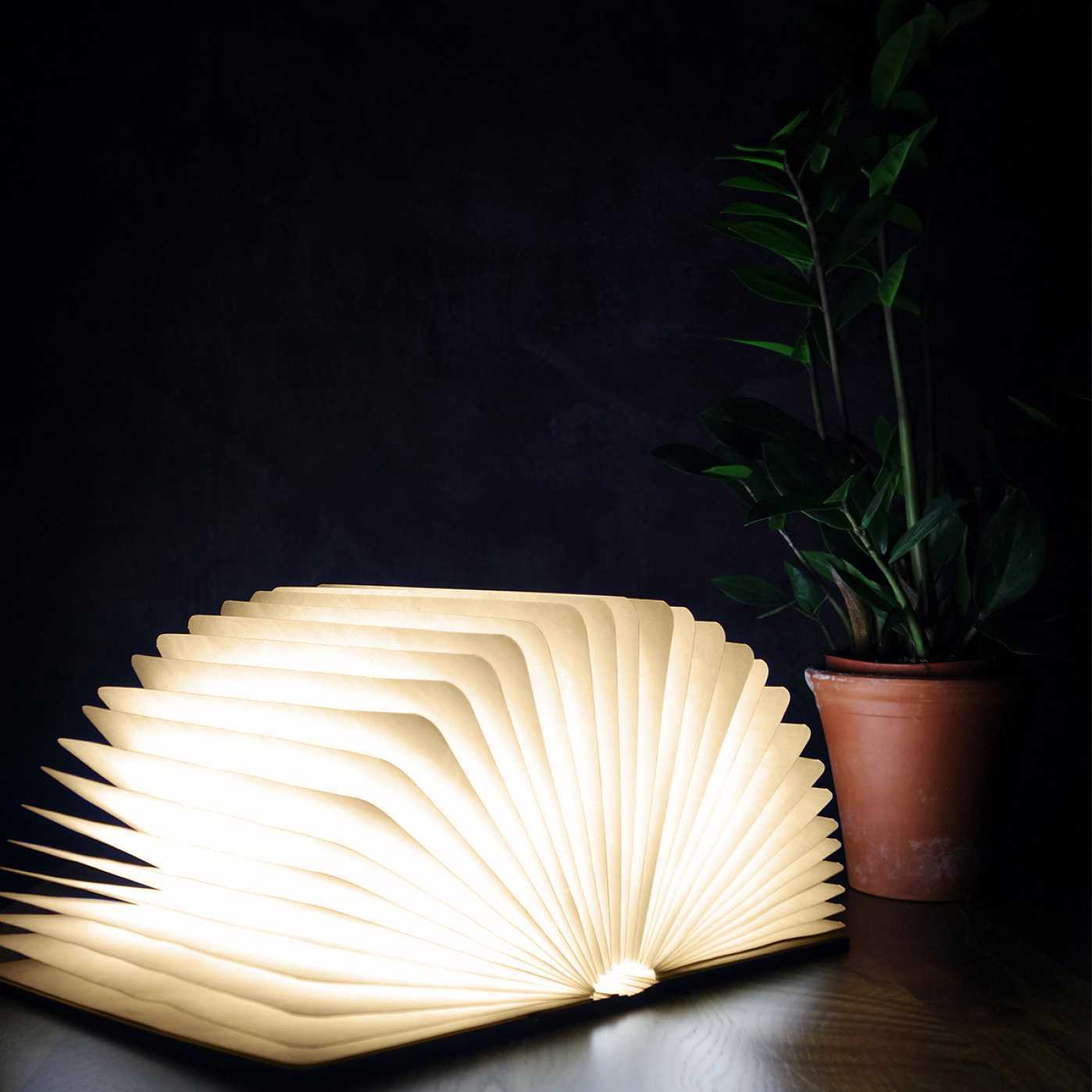 Ginko Walnut Large Smart Led Light Book