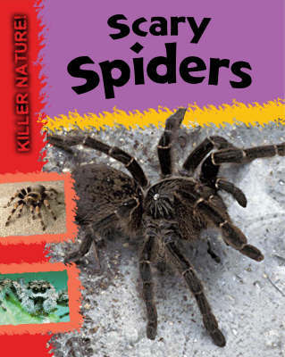 Scary Spiders by Lynn Huggins Cooper image