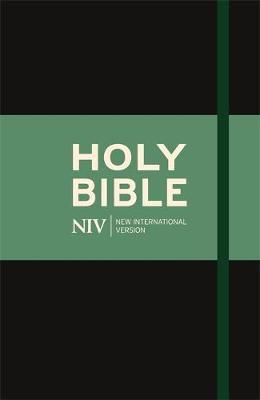 NIV Thinline Cloth Bible by New International Version image