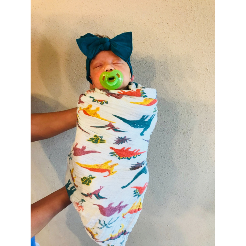 Little Unicorn: Cotton Muslin Swaddle - Embroidosaurus (Single) image