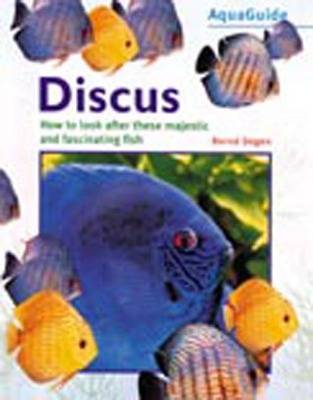 Discus by Bernd Degen image