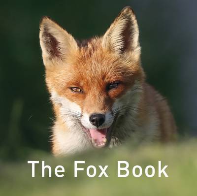 Nature Book Series, The: The Fox Book on Hardback by Jane Russ