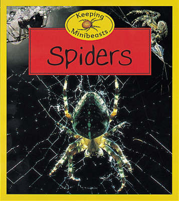 Spiders by Chris Henwood image