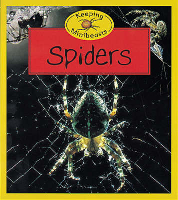 Spiders on Paperback by Chris Henwood