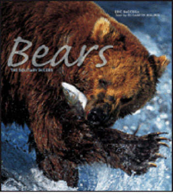 Bears image