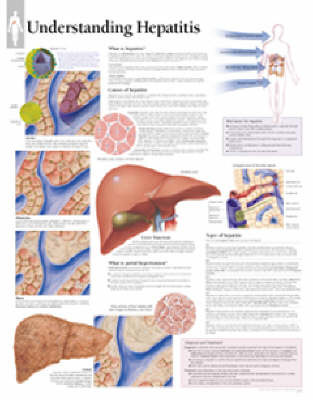 Understanding Hepatitis image
