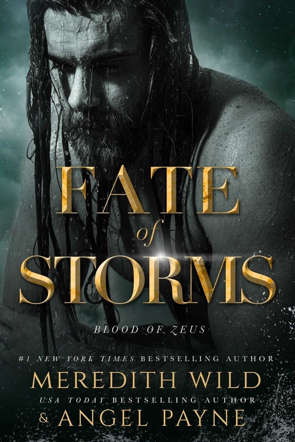 Fate of Storms by Meredith Wild image