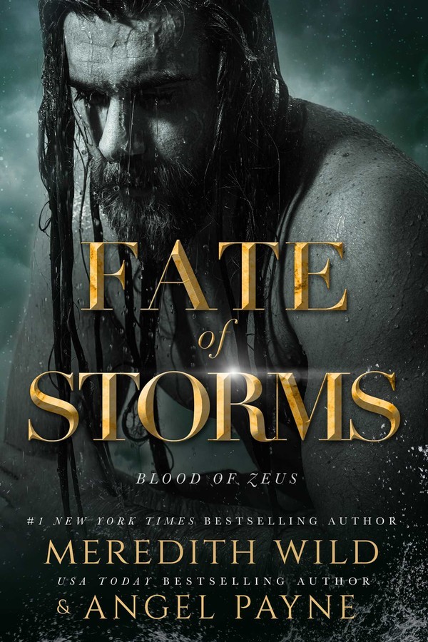 Fate of Storms image