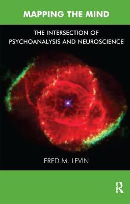 Mapping the Mind by Fred M. Levin image