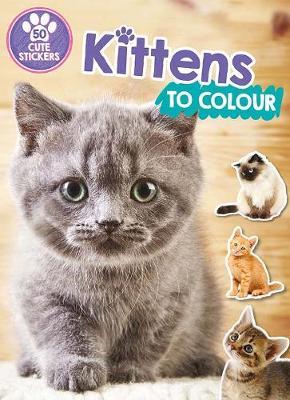 Kittens to Colour by Parragon Books Ltd image