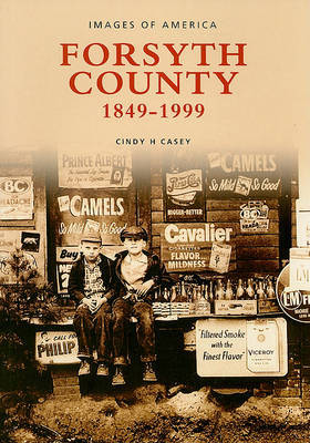 Forsyth County image