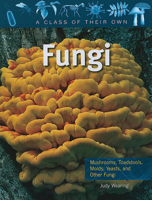 Fungi by Judy Wearing image