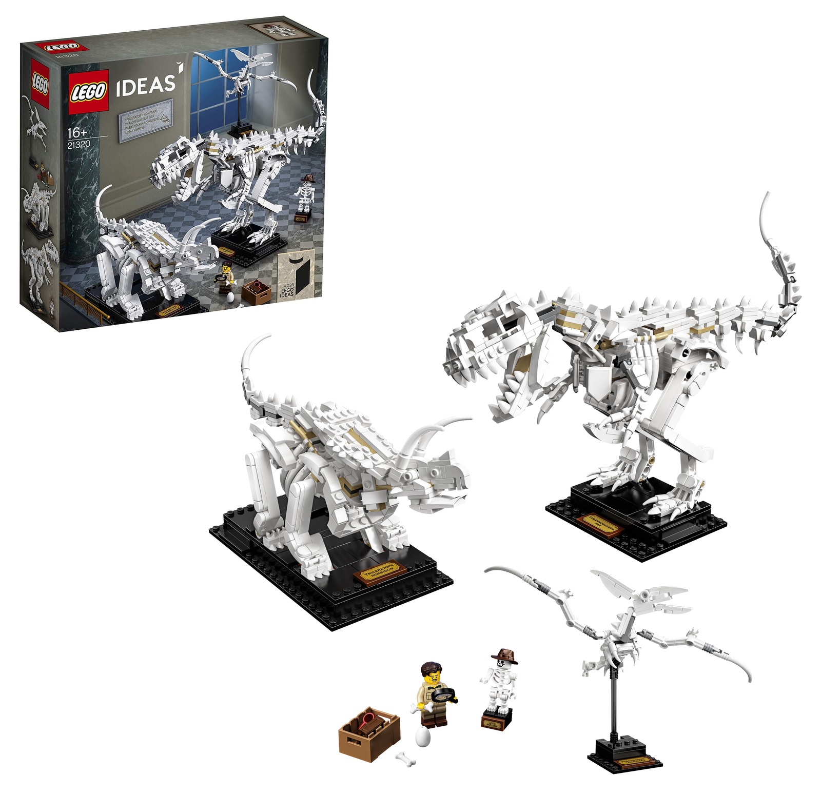 LEGO Ideas: Dinosaur Fossils (21320) image