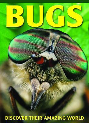 Bugs by Barbara Taylor image