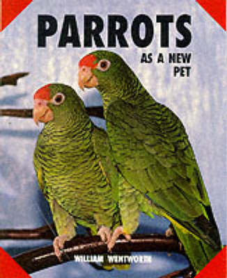 Parrots as a New Pet image