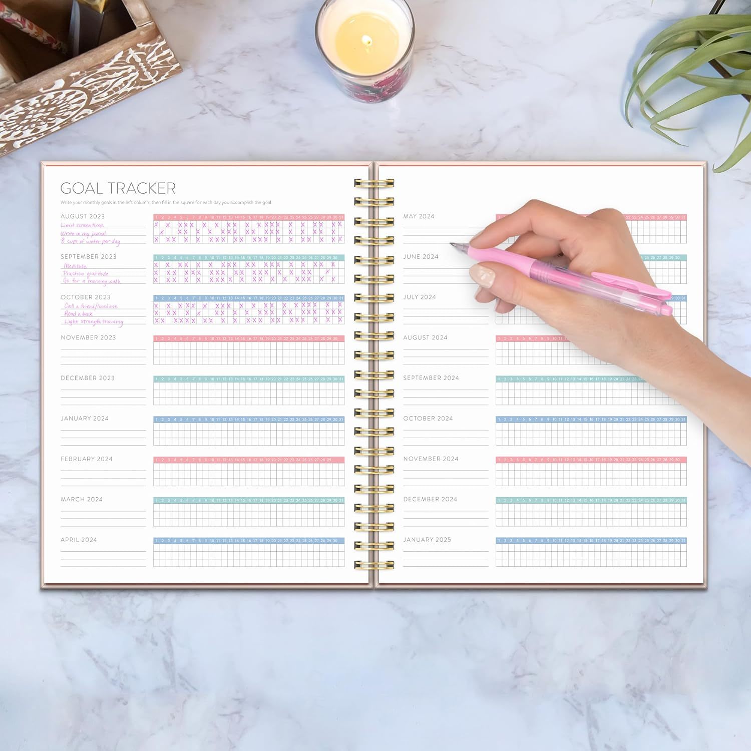 Buy Orange Circle Studio Extra Large Spiral Planner 2024 Butterfly