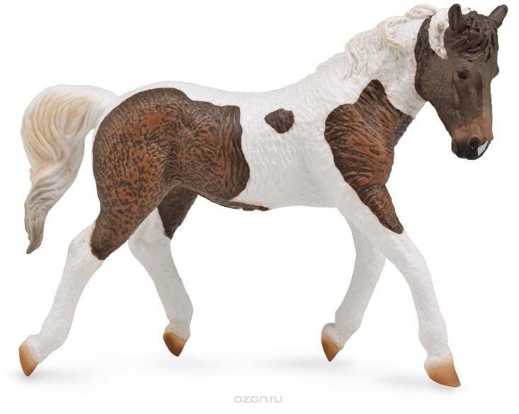 CollectA - Curly Mare image