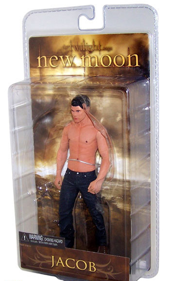 Twilight Jacob Black Action Figure - New Moon Series 2