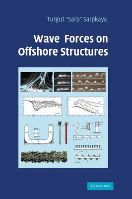 Wave Forces on Offshore Structures image