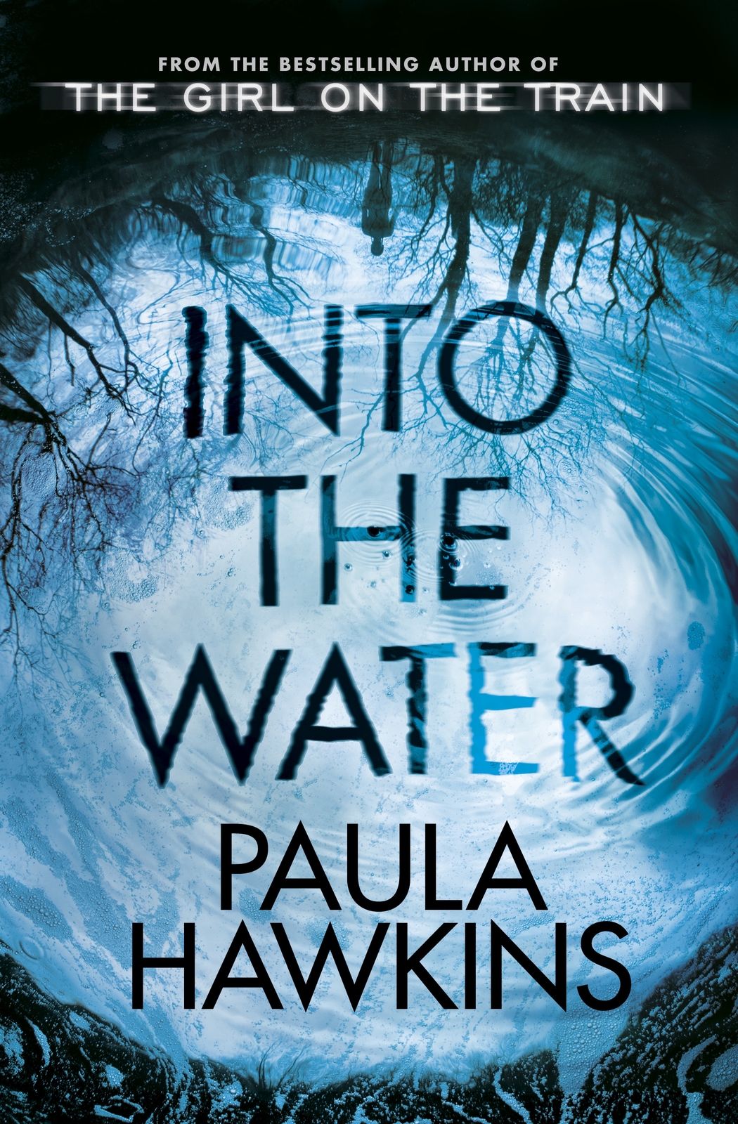 Into the Water by Paula Hawkins image