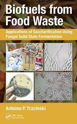 Biofuels from Food Waste by Antoine Prandota Trzcinski image