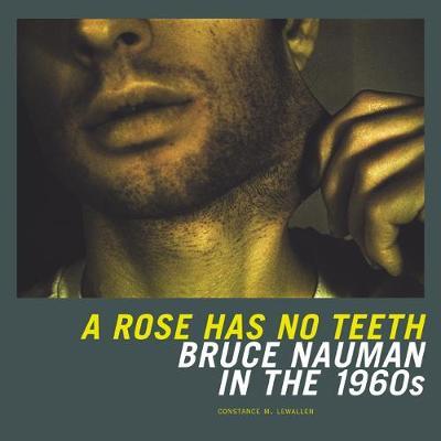 A Rose Has No Teeth by Constance Lewallen image