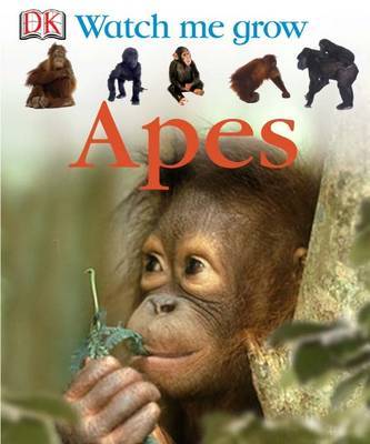 Apes image