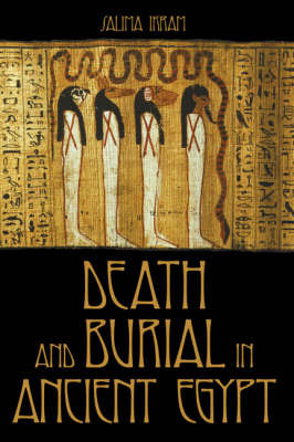 Death and Burial in Ancient Egypt by Salima Ikram image