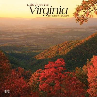 Virginia Wild & Scenic 2019 Square by Inc Browntrout Publishers image