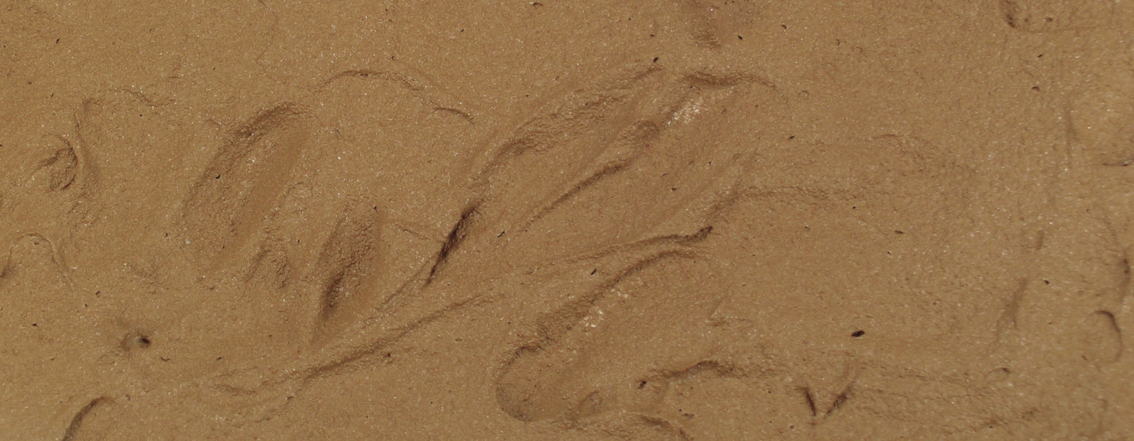 Vallejo Brown Earth Texture Paint 200ml at Mighty Ape Australia