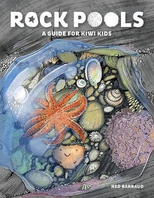 Rock Pools by Ned Barraud image