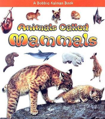 Animals Called Mammals by Bobbie Kalman